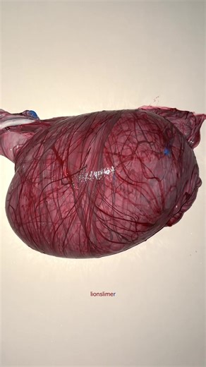 Happy New Year with Fluffy Slime ASMR