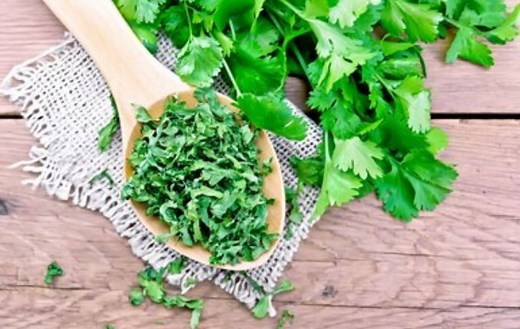 How to Dry Cilantro [Air Drying, Dehydrator & Microwave Methods] - Kitchen Lily
