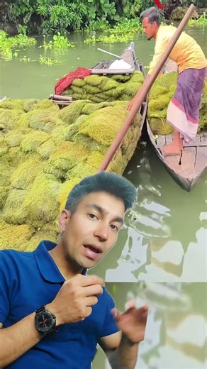 🌾💧 Farms That Float