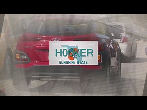 What the @%$# do Floridians want to put on their license plates?