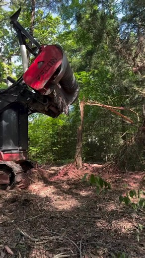 23K views · 363 reactions |  Fecon Friday Flex  Turner Land Services Ol red still going strong!! #fecon #mulching Giveaway Alert Keep tagging #FeconFlex for a chance to be featured and a chance for some new Fecon swag! #Mulching #Fecon #FeconFlex #Giveaway | Fecon | Facebook