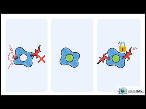 Enzyme Kinetics