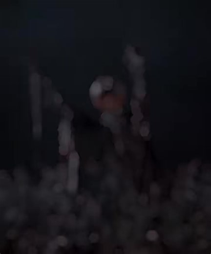 1.8K views · 196 reactions | A Tim Burton Films  | Tim Burton's World | Facebook