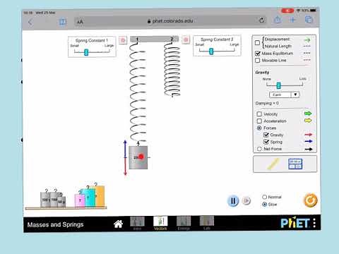 Using Phet simulation to explain the motion of mass on a spring using the individual forces