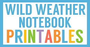 Free Extreme Weather Worksheets - Homeschool Share