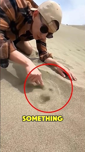 Something Weird Was Happening in the Sand‼️😱