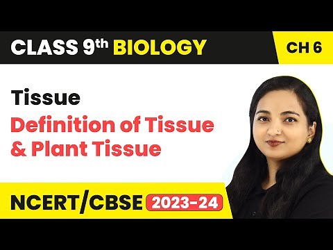 Definition of Tissue and Plant Tissue - Tissue | Class 9 Biology Chapter 6 | (2023-24)