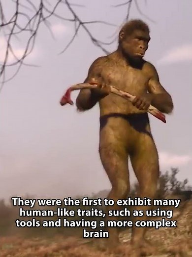 World History Chapter 1 Part 2: Homo Habilis | PREHISTORY