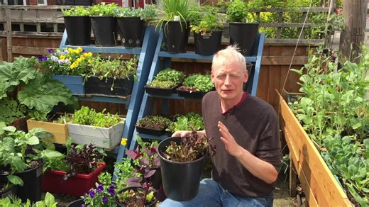 2.3K views · 55 reactions | The natural predators of slugs (like...