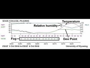 Temperature, Dew Point, and Relative Humidity: A Day in the Life
