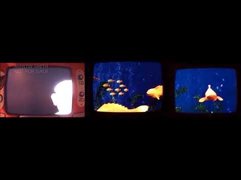 muppets vision 3d pre show