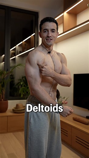 Muscle Anatomy !! 💪 @Inshape Nutrition @ShapeYou | Muscle