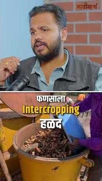 आता लावायचं…आणि निवांत 100 वर्षं कमवायचं🌳💰 #shorts #indianfarmer