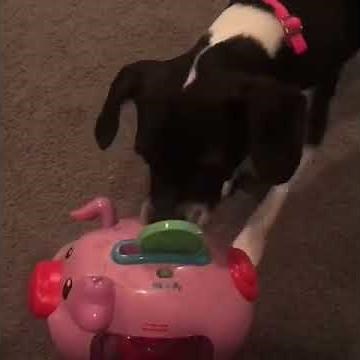 Fisher Price Piggy Bank