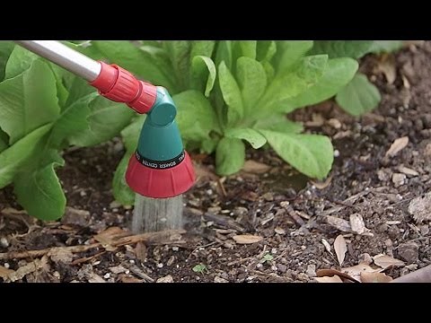 How to Water Your Garden - Learn How Often, How Much, and When to Water Flowers and Vegetables