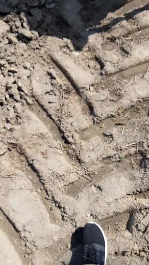 #arheology #эховойны #military #ww2