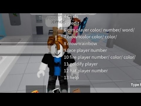 How to get admin in public bathroom simulator