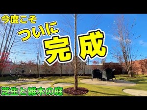 【芝生と雑木の庭】庭作りおすすめシンボルツリー！ついに理想の庭が完成しました！