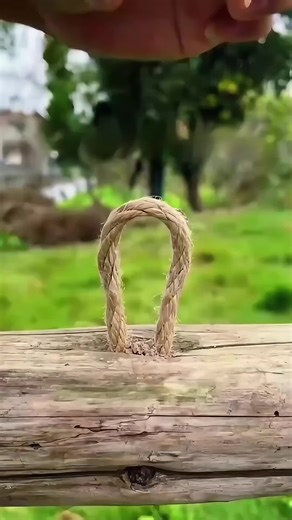 #fyp #foryou #lifetips #life #lifehacks | life hacks