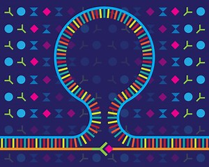 DNA Nanoswitches | The Wong Lab