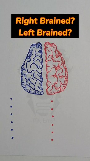 Left Brain vs. Right Brain: Which Side Are You On?