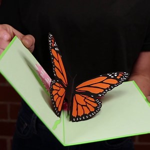 The NEW Butterfly pop up card. | Lovepop Cards