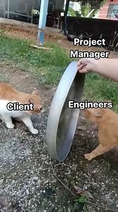 Joe on Instagram: "#projectmanager #projectmanagement"