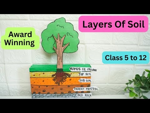 Soil Profile Model | Layers of Soil Project for School | Easy Science Model | Exhibition model