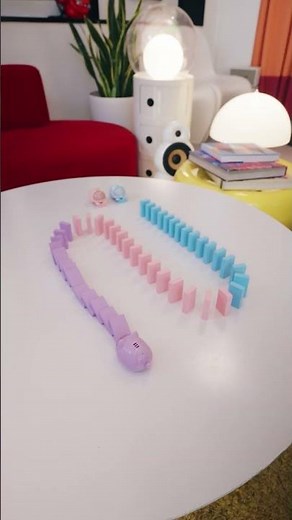 【ドミノチャレンジ】うまくいくかな？　#マイクロペット #micropets #デジタル #かわいい #おもちゃ