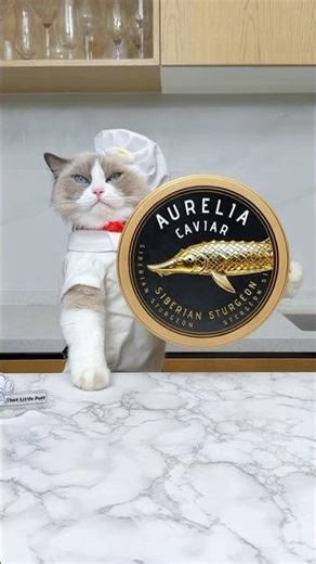 How to remake caviar…out of SEAWEED?🤯 | Molecular Cooking #cat #lifehacks #diyfoods #thatlittlepuff