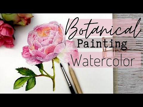 EASY ROSE IN WATERCOLOR