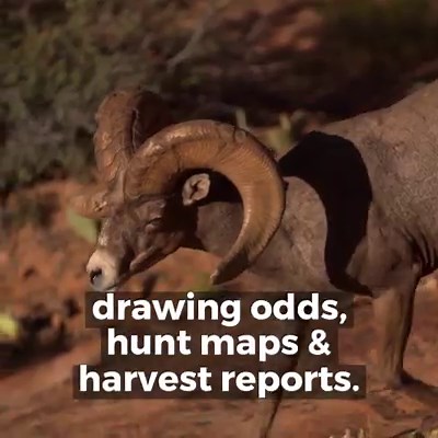 58K views · 430 reactions | Do your research and then mark 'Apply for a big game permit' off your to-do list! The deadline is coming up on March 1. Learn more: https://go.usa.gov/xnFng | Utah Division of Wildlife Resources | Facebook