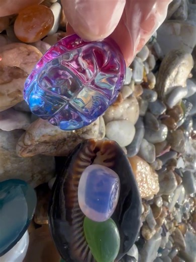 Gemstone and Freshwater Snails: Nature's Unique Treasures