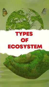 Understanding Types of Ecosystems 🌍
