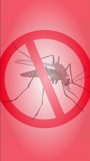 Sound that destroys mosquitoes and midges | Anti-mosquito repellent |#anti#mosquito#sounds#repellent