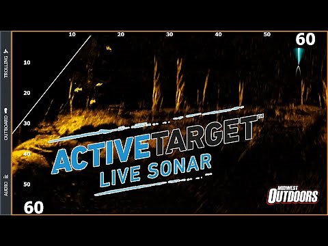 Lowrance Active Target Overview