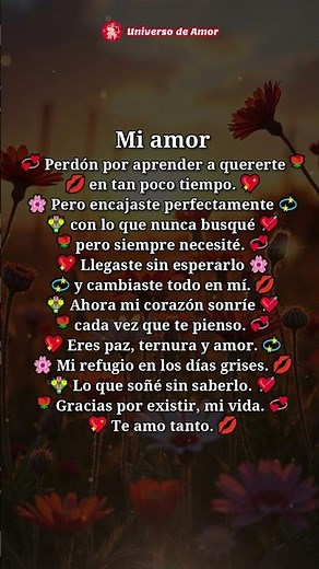 Videos de Amor 💝