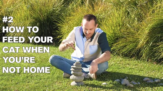 83K views · 769 reactions | Joseph's Machines on Reels | Facebook