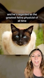 609K views · 26K reactions | Cat publishes physics paper and becomes...