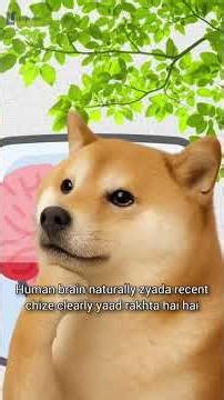 What is Recency Bias? Workplace Meaning Explained with a Real Award Function Example