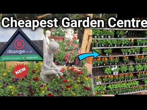 NEW Homebase Garden Centre at The Range | What's New | 3 Bedding Plants £6