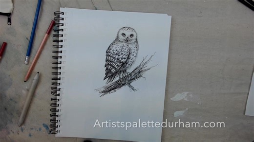 Don't forget to draw today! We made Snow Owls with the option to use an outline or to learn how to draw it all out on your own 🙌 Share your results here or under our groups. Sign up here to watch anytime: You can also subscribe to our YouTube channel: https://artistspalettedurham.com/collections/shop-all-virtual-events/products/snow-owl-free-event-drawing-09-december-2025-12-00pm-esthttps://www.youtube.com/channel/UCIvFrRQHTlJF34xw2-LmcZg/ | Artist's Palette Durham Region