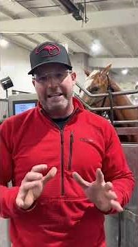 Cold-Water Therapy for Performance Horses