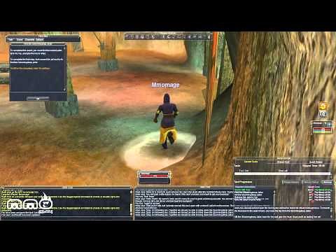 Everquest Gameplay