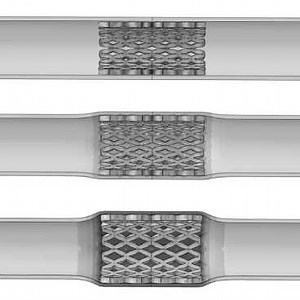 Understanding shape-shifting polymers