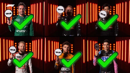 110K views · 3.6K reactions | Is a cross between a horse and a zebra called a hobra? 樂 Time for a game of True or False with our drivers!  | F1 | Facebook