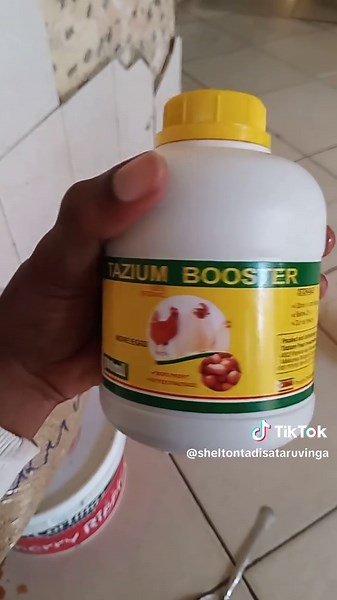Growing a Chicken Project in Zimbabwe: Step by Step