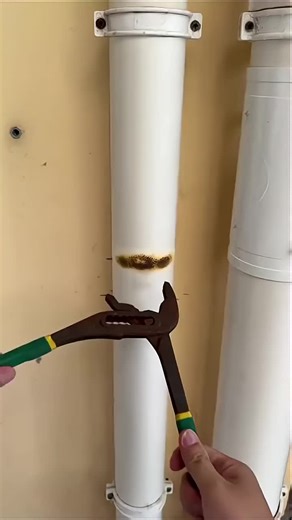 Exploring Tech Magic with Balli Bot Mogis