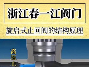 普通止回阀和高压止回阀的结构区别 #止回阀 #旋启式止回阀 #高压止回阀 #浙江春一江阀门 #单向阀 #逆止阀 #管工教程 #浙江 #杭州