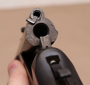 Savage Model 24 Review | The Hunting Gear Guy